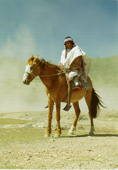 Tarahumara_Apache_Horse_Mexico.gif